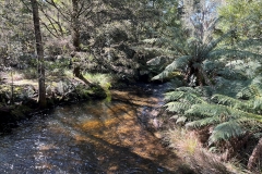 webmtfnpwalk-4